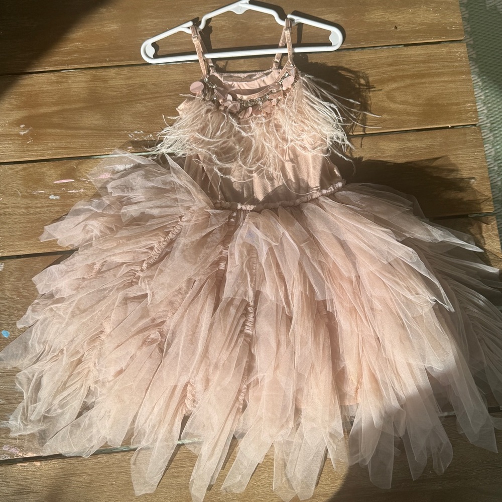 🌸 Tutu Du Monde Blush Feather Tulle Dress | Size 4-5